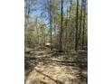 Dirt walking trail among mature trees at 8448 E Dobbs Cemetary Rd, Columbus, IN 47201