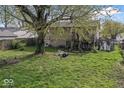 Backyard featuring a large tree, green grass, and stairs leading to a deck at 3432 Joan Pl, Indianapolis, IN 46226