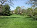 Expansive backyard featuring trees and a lush, green lawn at 4166 Cobblestone Way, Greenwood, IN 46143