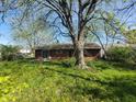 View of the home with a tree in the foreground and green grass and yellow flowers in the backyard at 3755 N Brentwood Ave, Indianapolis, IN 46235