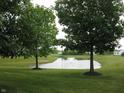 Picturesque pond with fountain offering a serene view and community green space at 6350 Emerald Springs Dr, Indianapolis, IN 46221