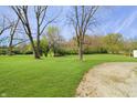 Lush backyard featuring a vibrant lawn and mature trees, perfect for outdoor activities and relaxation at 6315 Shelbyville Rd, Indianapolis, IN 46237