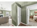 View of green-painted hallway that connects the living room and a bedroom at 9688 Amber Glow Ct, Fishers, IN 46037