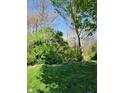 Lush backyard featuring vibrant green grass and dense foliage, providing a private outdoor space at 5912 Accent Dr, Indianapolis, IN 46221
