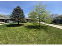 Lovely single-story home featuring a well-kept lawn, mature trees, and a long driveway at 1021 N Bolton Ave, Indianapolis, IN 46219
