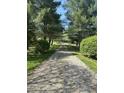 Long gravel driveway leading to the property surrounded by tall trees and lush greenery at 10770 W 650 S, Columbus, IN 47201