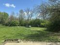 Large, grassy backyard with mature trees offering shade and privacy for outdoor activities at 10569 Folsom Dr, Indianapolis, IN 46235