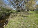 Lush backyard featuring a stream running through the back of the property at 5822 W 62Nd St, Indianapolis, IN 46278