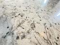 Close-up of a stunning white granite countertop showcasing unique patterns and textures, adding elegance to any kitchen at 5839 W Commonview Dr, McCordsville, IN 46055