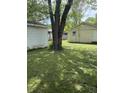 View of the backyard with a large shade tree at 346 Gimber Ct, Indianapolis, IN 46225