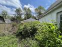Overgrown backyard shows tangled vegetation, neighboring structures, and neglected lawn at 2517 Baur Dr, Indianapolis, IN 46220