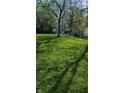 A spacious backyard surrounded by mature trees and lush green grass, perfect for outdoor activities at 1254 S Leland Ave, Indianapolis, IN 46203