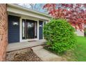 Inviting front entrance with sidelights, a concrete walkway, and manicured landscaping at 524 Deerberry Dr, Noblesville, IN 46062