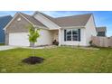 Well-maintained front yard of a home with a young tree and manicured landscaping at 932 Sagittarius Ave, Franklin, IN 46131