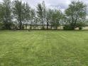 Expansive backyard with lush green grass and mature trees lining the back property line at 247 N 150 W, Greenfield, IN 46140