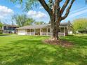 Ranch home with a covered front porch and a large tree in the yard at 5305 N Cork Dr, Muncie, IN 47304