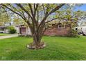 View of the home's front exterior showcasing a mature tree in the yard with a rock border at 4864 N Katherine Dr, Indianapolis, IN 46226