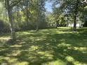 Lush backyard with many trees and ample lawn space at 2928 Cicero Rd, Noblesville, IN 46060