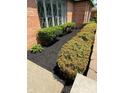Close-up of manicured landscaping and fresh mulch in front of a brick home with large windows at 3128 W 12Th St, Anderson, IN 46011