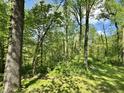 Wooded acreage providing privacy and natural beauty at 1760 Pumpkinvine Hill Rd, Martinsville, IN 46151