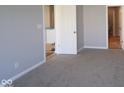 Spacious bedroom with neutral carpeting, gray walls, and entry to bathroom at 10544 Maidenhair Dr, Indianapolis, IN 46239