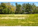 A vacant lot featuring sprawling green grass and mature tree lines at 811 J Mccool Way, Greenwood, IN 46142