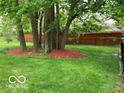 Spacious, lush backyard with healthy lawn, mature trees and mulch; perfect for outdoor activities at 569 Meadow Dr, Danville, IN 46122