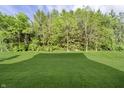 Green backyard with trees at 14003 Grannan Ln, Carmel, IN 46074