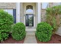 Inviting home entrance with sidelights, a black front door and lush greenery at 8745 Providence Dr, Fishers, IN 46038