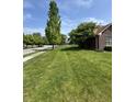Spacious front yard with lush green grass and mature trees lining the street under a blue sky at 8306 Hunters Meadow Way, Indianapolis, IN 46259