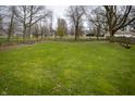 Large backyard with lush green grass and mature trees, offering plenty of open space at 933 N 19Th N St, Elwood, IN 46036