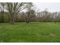 Expansive grassy yard surrounded by mature trees, providing a peaceful and private setting at 4718 W Troy Ave, Indianapolis, IN 46241