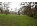 Lush green lawn with scattered clover offers ample space for outdoor activities and landscaping opportunities at 4718 W Troy Ave, Indianapolis, IN 46241
