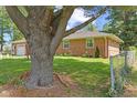 View of the backyard with a large tree at 6191 Geneva St, Stilesville, IN 46180