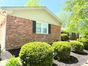 Close-up of the brick exterior with manicured bushes and a window with black shutters at 8835 Briarclift Rd, Indianapolis, IN 46256