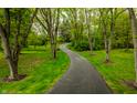 Long, winding driveway leads through a serene landscape with mature trees and lush greenery at 5356 S Us421, Zionsville, IN 46077