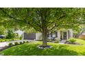 Beautiful home with a large tree, well-kept lawn, and inviting curb appeal at 14291 Holly Berry Cir, Fishers, IN 46038