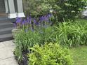 Landscaped front yard with vibrant purple flowers and lush greenery, enhancing curb appeal at 5002 Broadway St, Indianapolis, IN 46205