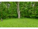 Lawn and trees at 6567 Kings Ct, Avon, IN 46123