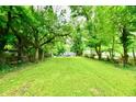 Spacious backyard featuring a large expanse of green grass, mature trees, and ample natural light at 2966 N Olney St, Indianapolis, IN 46218