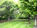 Expansive backyard features lush greenery, mature trees, and a well-maintained lawn at 60 Bittersweet Ct, Noblesville, IN 46062