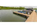 Scenic waterfront view featuring a private dock and boat lifts, perfect for enjoying lake activities at 10784 Giselle Way, Fishers, IN 46040