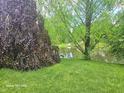 Lush green backyard with mature trees and lake view, offering a tranquil and private outdoor space at 6723 Silver Tree Dr, Indianapolis, IN 46236