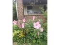 Beautiful flower garden featuring vibrant pink hibiscus and yellow daisies near a brick building at 3745 Winthrop Ave, Indianapolis, IN 46205