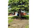 Red brick home with a large tree in the front yard, offering shade and curb appeal at 3633 Tiffany Dr, Indianapolis, IN 46226