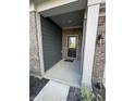 Front entrance showcasing the black door, brick facade, and covered porch of the home at 2263 S Carlota Dr, New Palestine, IN 46163