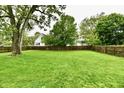 Expansive green backyard with a mature tree and wooden fence, offering privacy and space at 924 S B St, Elwood, IN 46036