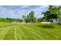 A lush green lawn leads to a serene lake, all enclosed by a sleek black fence at 994 Young'S Creek Dr, Franklin, IN 46131