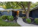 Charming blue home featuring a well-maintained front yard, mature tree and beautiful landscaping at 1309 Rolling Ct, Westfield, IN 46074