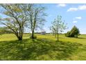 Expansive backyard showcasing mature trees and picturesque scenery, a perfect space for relaxation at 4450 N St Rd 39, Danville, IN 46122